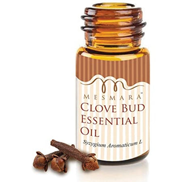 https://cdn.shopify.com/s/files/1/1857/6931/products/61M34GYdnvL._AC_SS450.jpg?v=1625042981